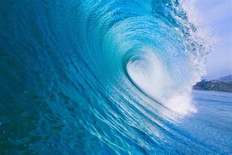 WAVE .